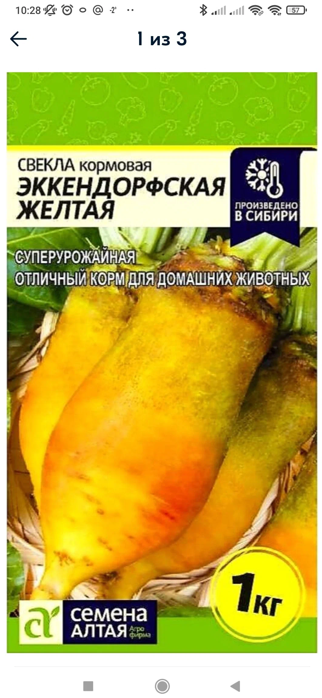 Купить Семена Свеклы Кормовой Эккендорфская Желтая